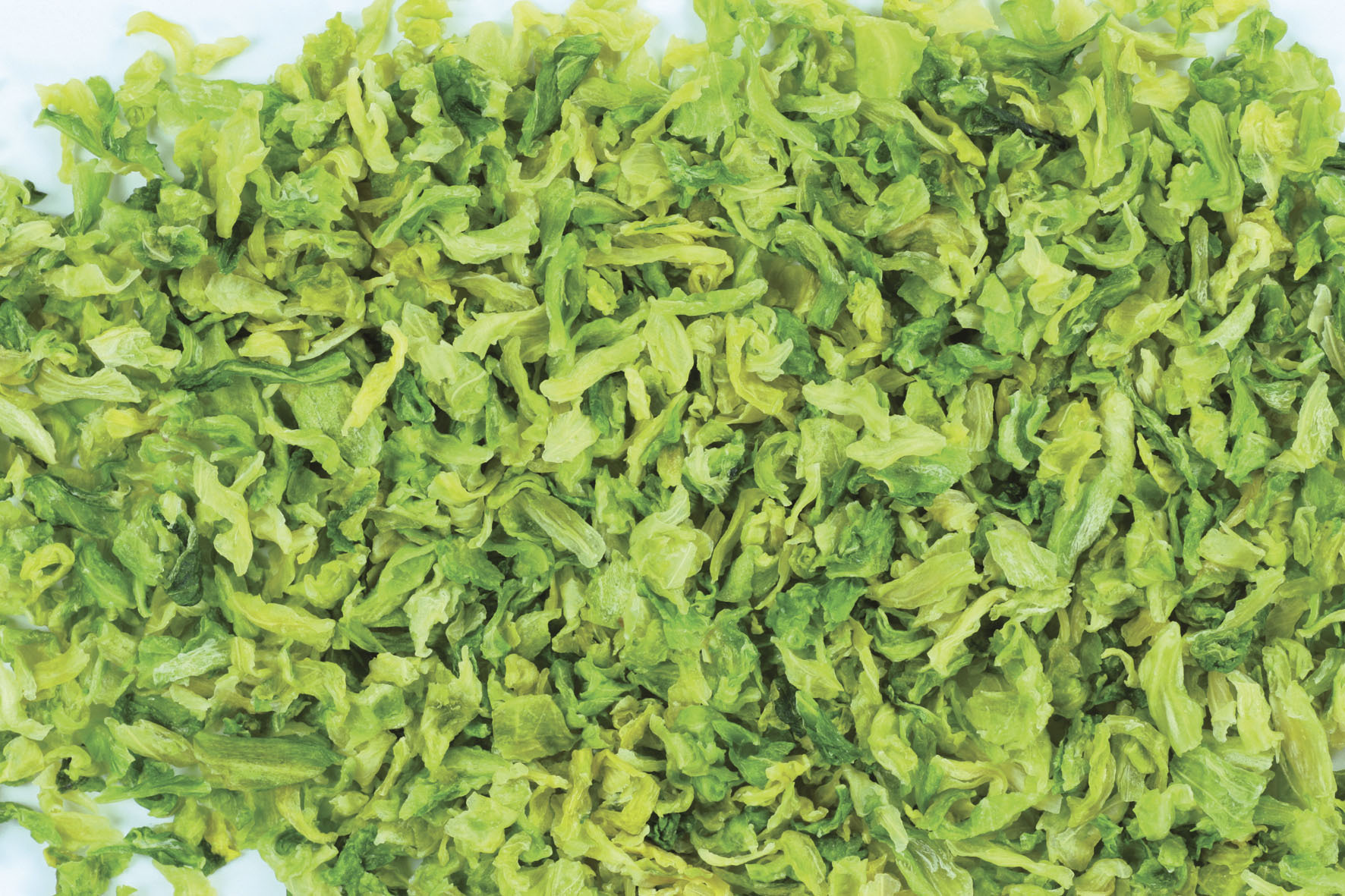 脱水高丽菜 厂家直销 脱水蔬菜 广东东莞
