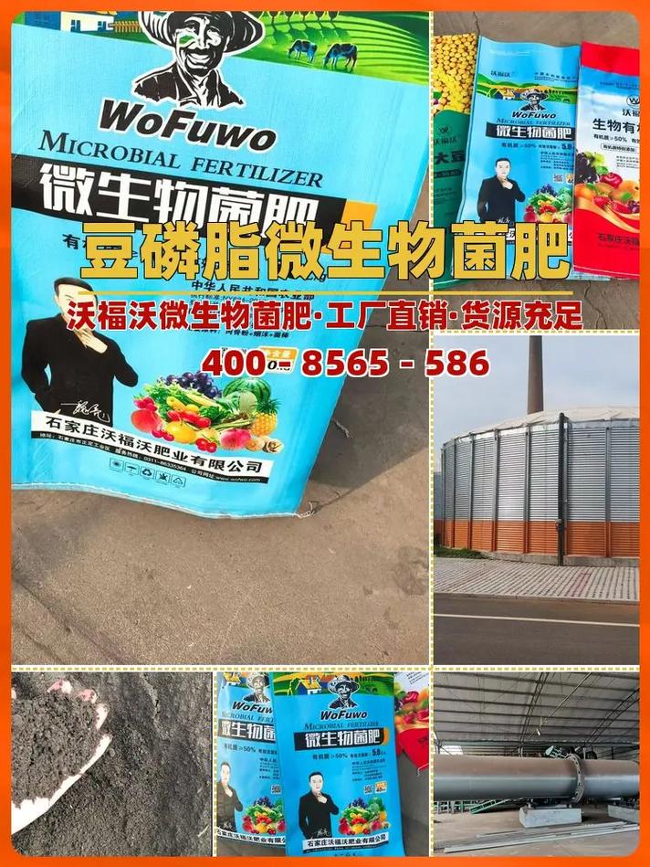 泉州适用大棚蔬菜园林制造厂